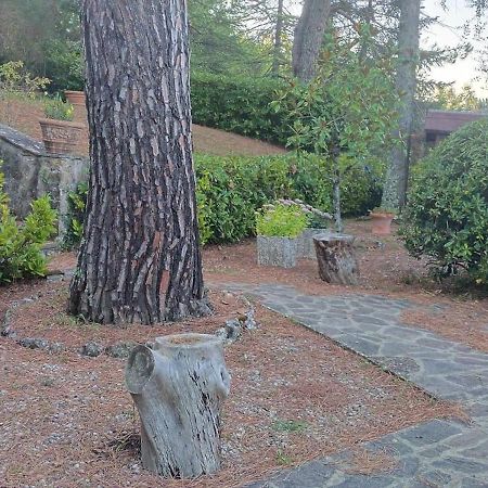 Villa Santa Margherita - La Suvera Ponte A Bozzone Esterno foto