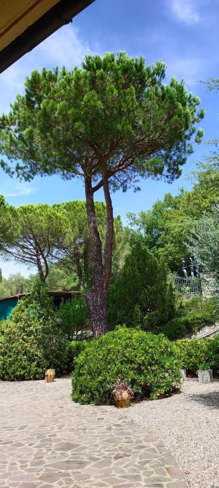 Villa Santa Margherita - La Suvera Ponte A Bozzone Esterno foto