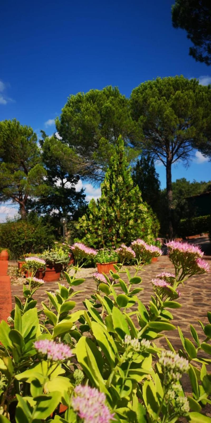 Villa Santa Margherita - La Suvera Ponte A Bozzone Esterno foto