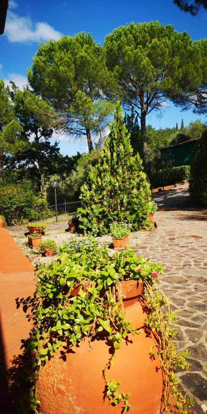 Villa Santa Margherita - La Suvera Ponte A Bozzone Esterno foto