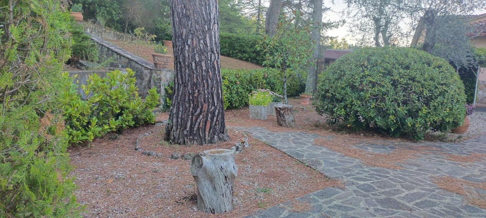Villa Santa Margherita - La Suvera Ponte A Bozzone Esterno foto