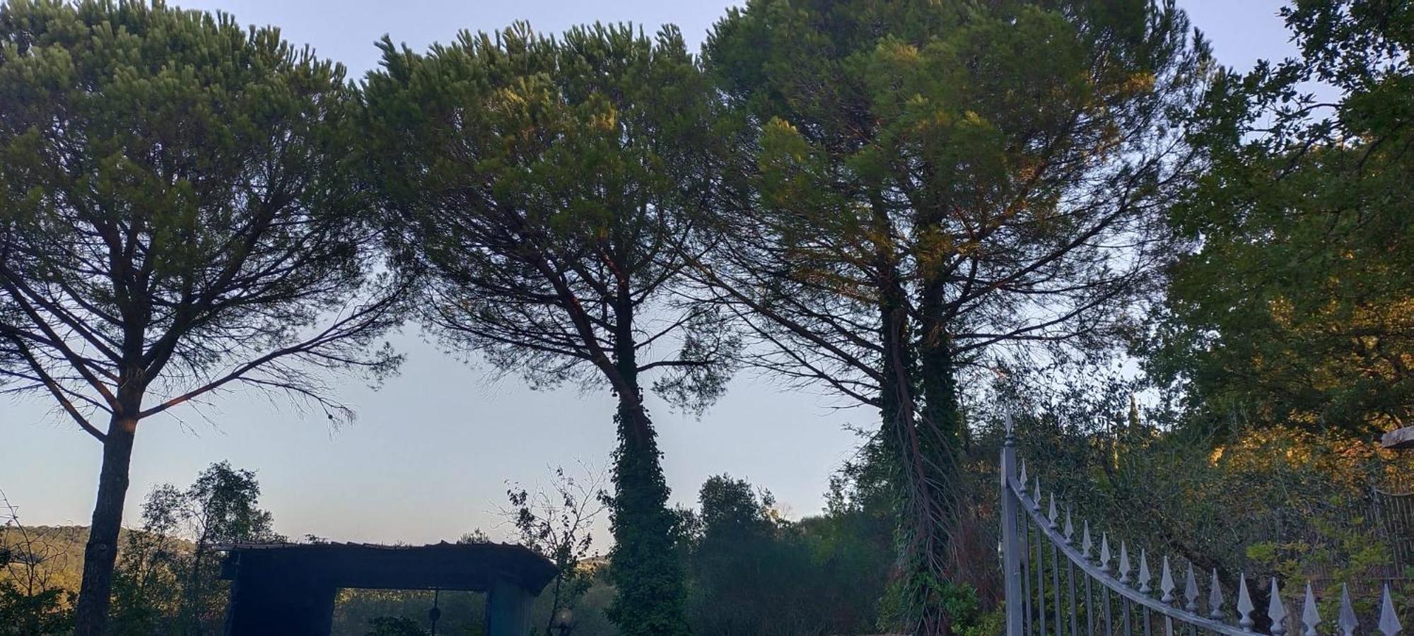 Villa Santa Margherita - La Suvera Ponte A Bozzone Esterno foto
